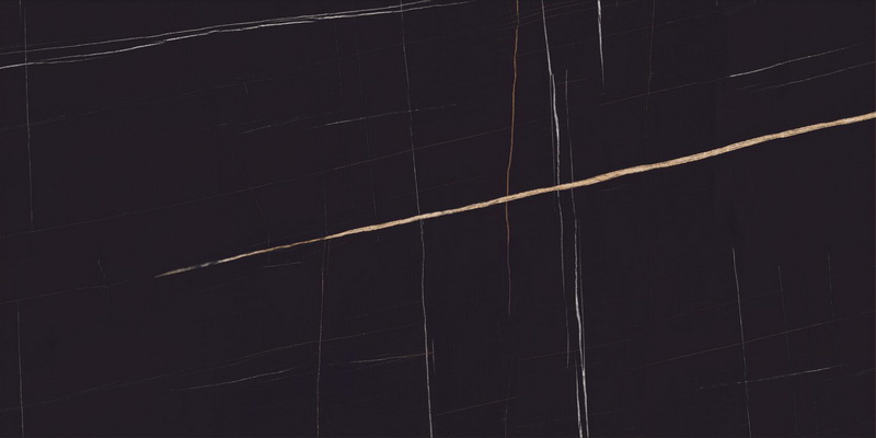 DT918806-4.jpg
