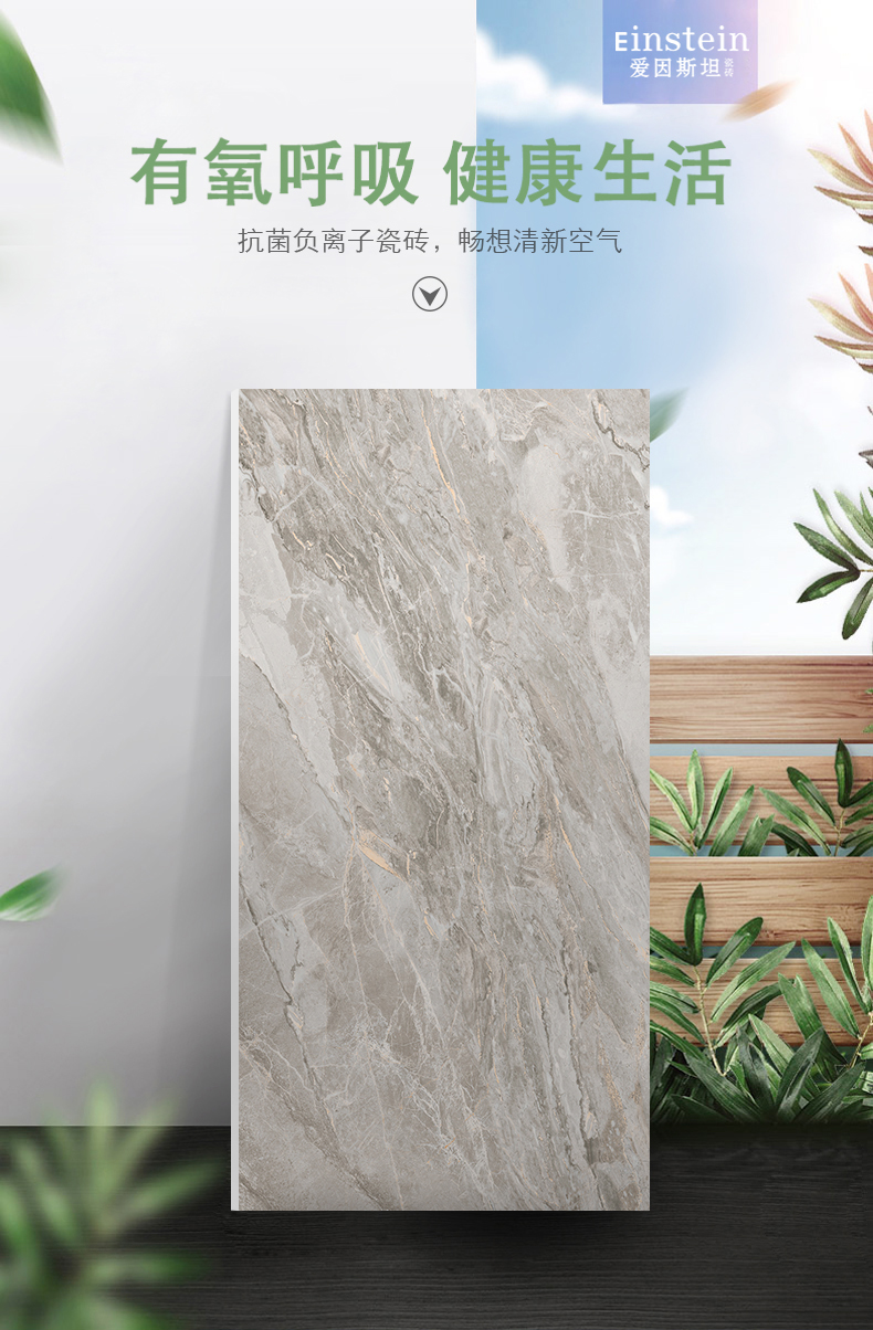 3-6A12060 玛卡龙-1.jpg