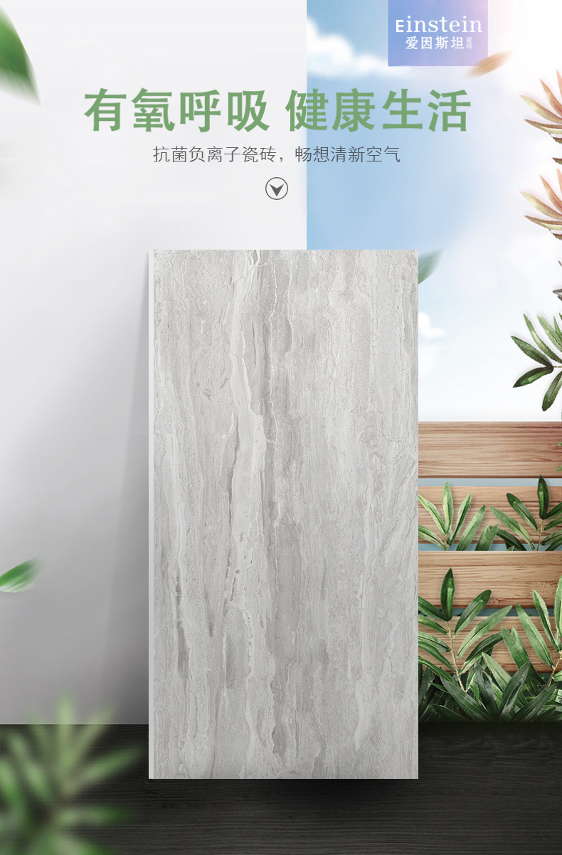 3-6A12051 菲茨罗伊-1.jpg