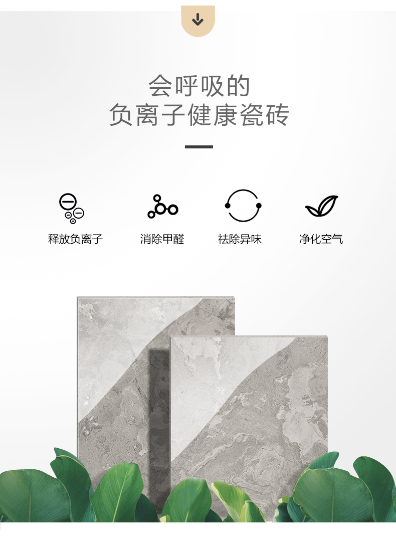 3-6A12059 侏罗纪深灰-6.jpg
