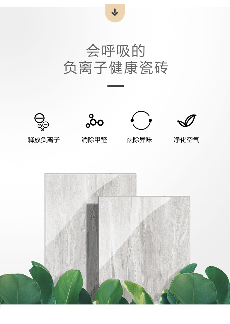 3-6A12051 菲茨罗伊-6.jpg