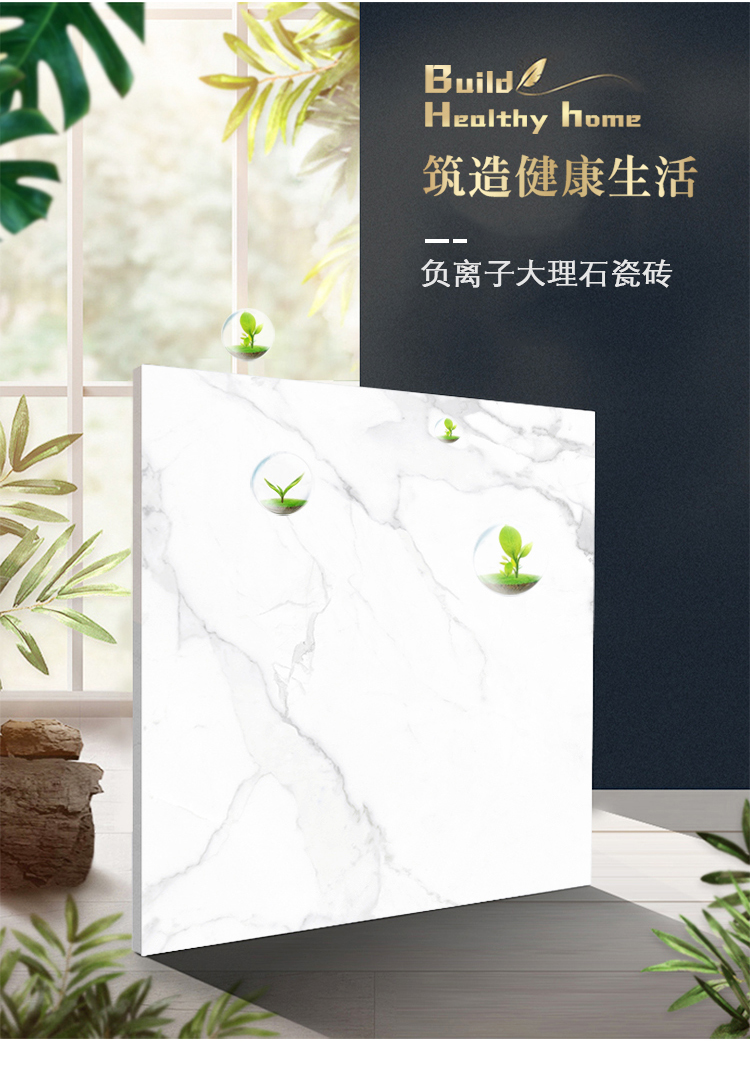 CA82021 特拉尼-1.jpg