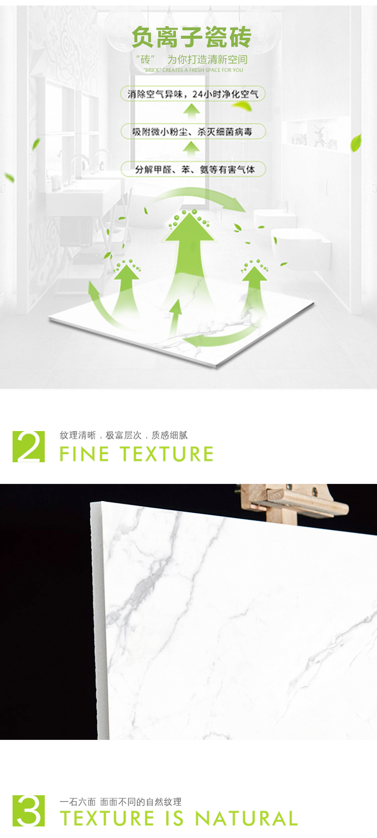CA82021 特拉尼-6.jpg