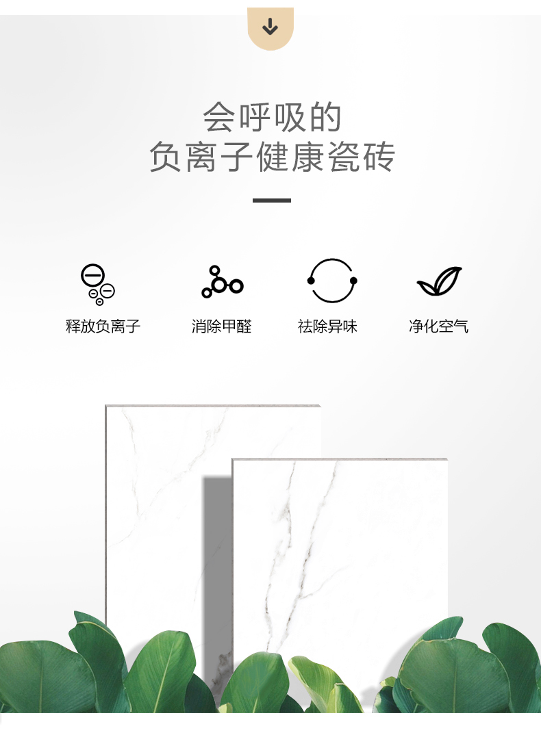 2-6A12023陶尔利-7.jpg