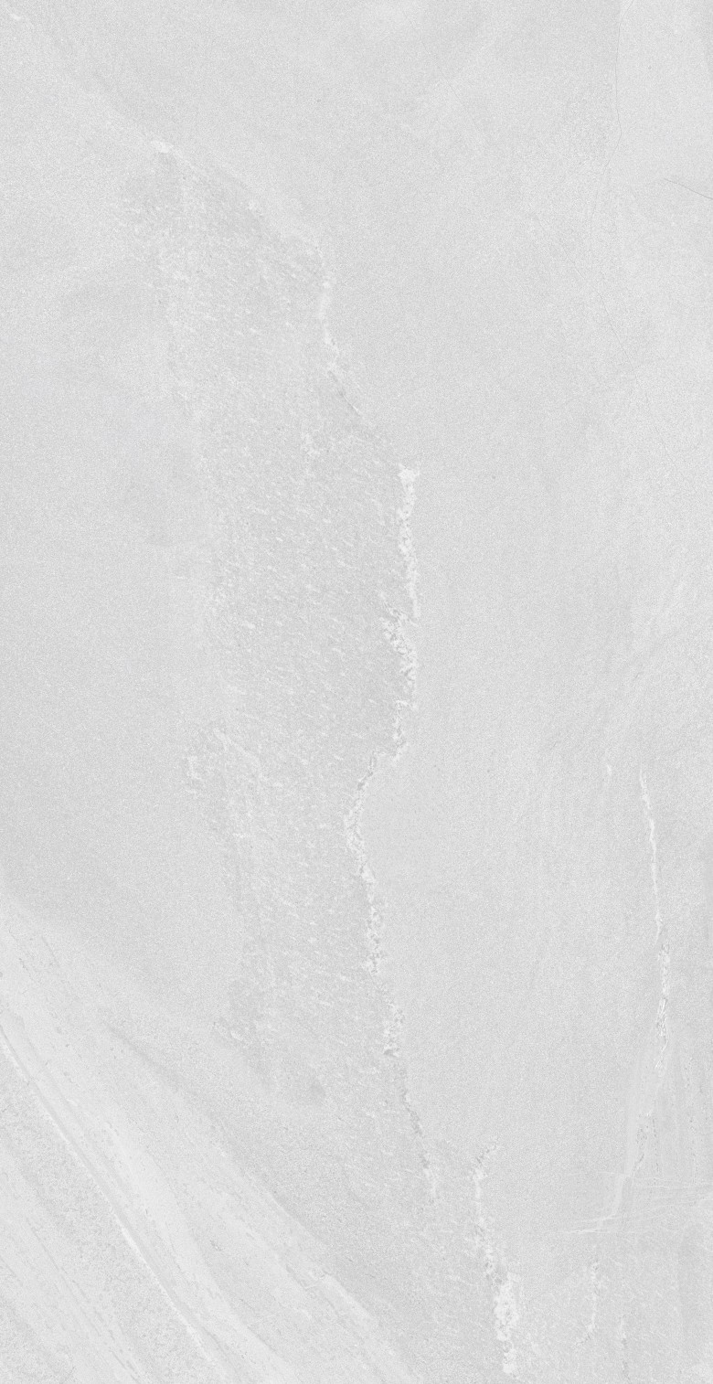 SANDSTONE BIANCO ( NORMAL BODY )  (3).jpg