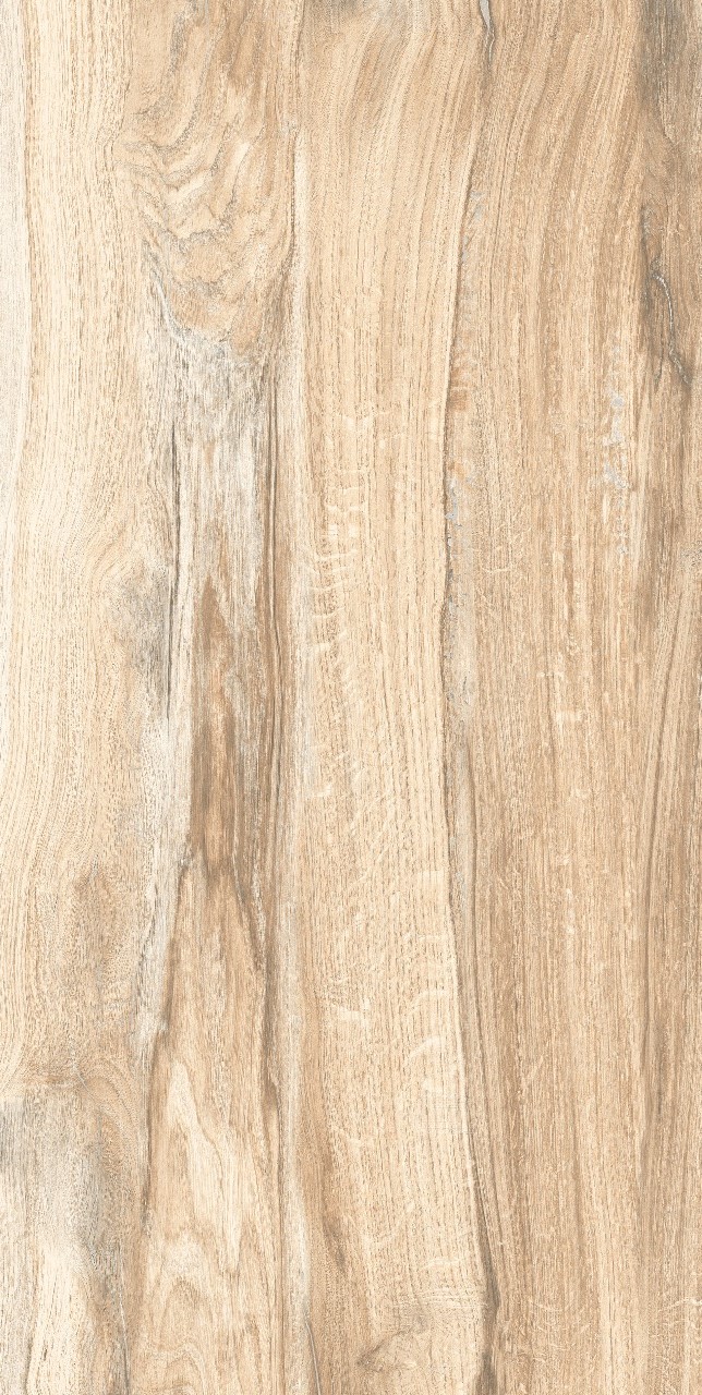 clara wood ocra 3.jpg