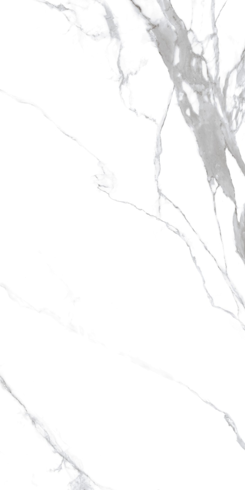 0008-7006-80x160-4.jpg