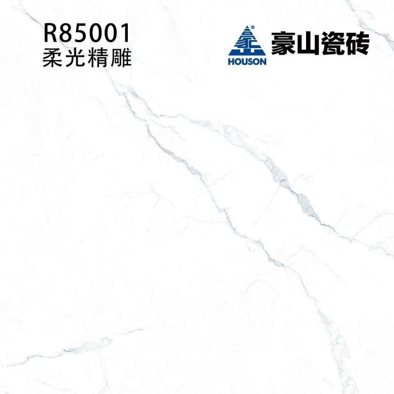 R85001-1.jpg