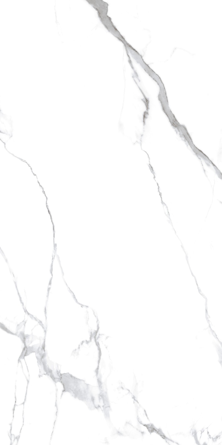 0008-7006-80x160-2.jpg