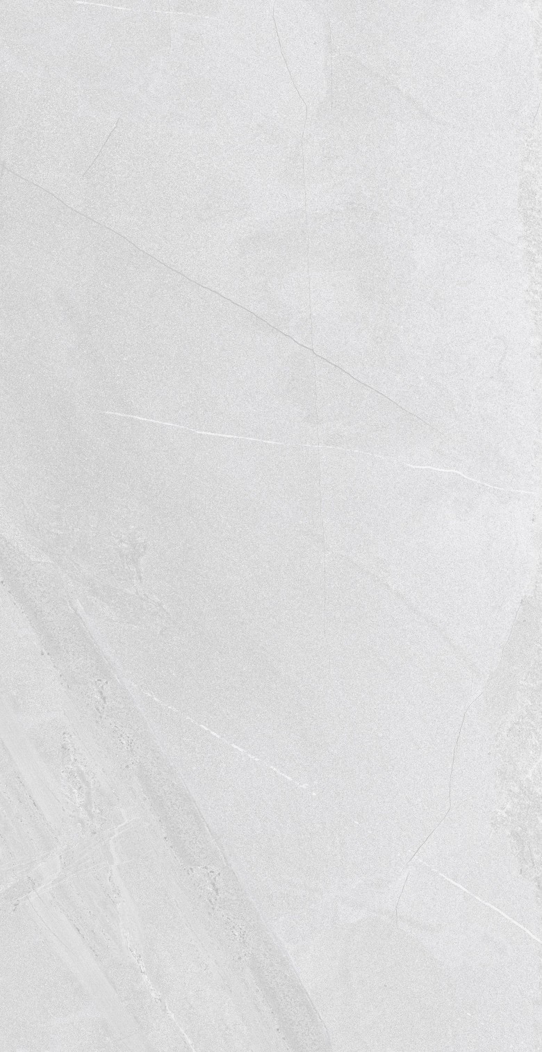 SANDSTONE BIANCO ( NORMAL BODY )  (4).jpg