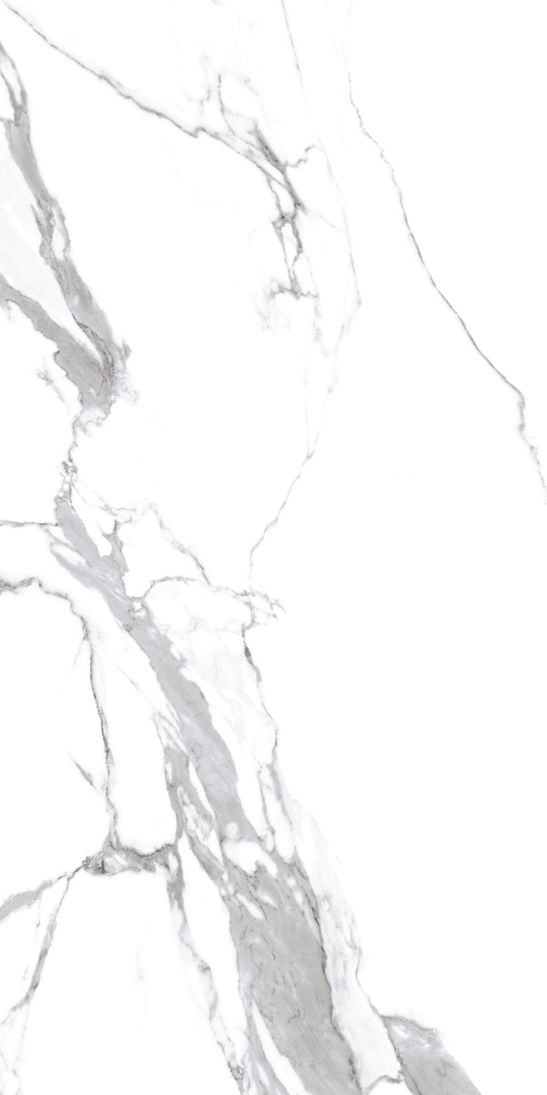 0008-7006-80x160-1.jpg
