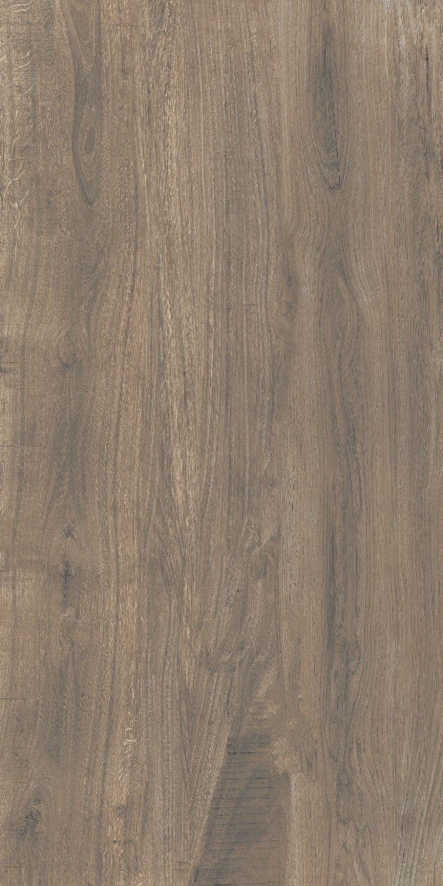 santana olive 1.jpg