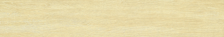 37212251.jpg