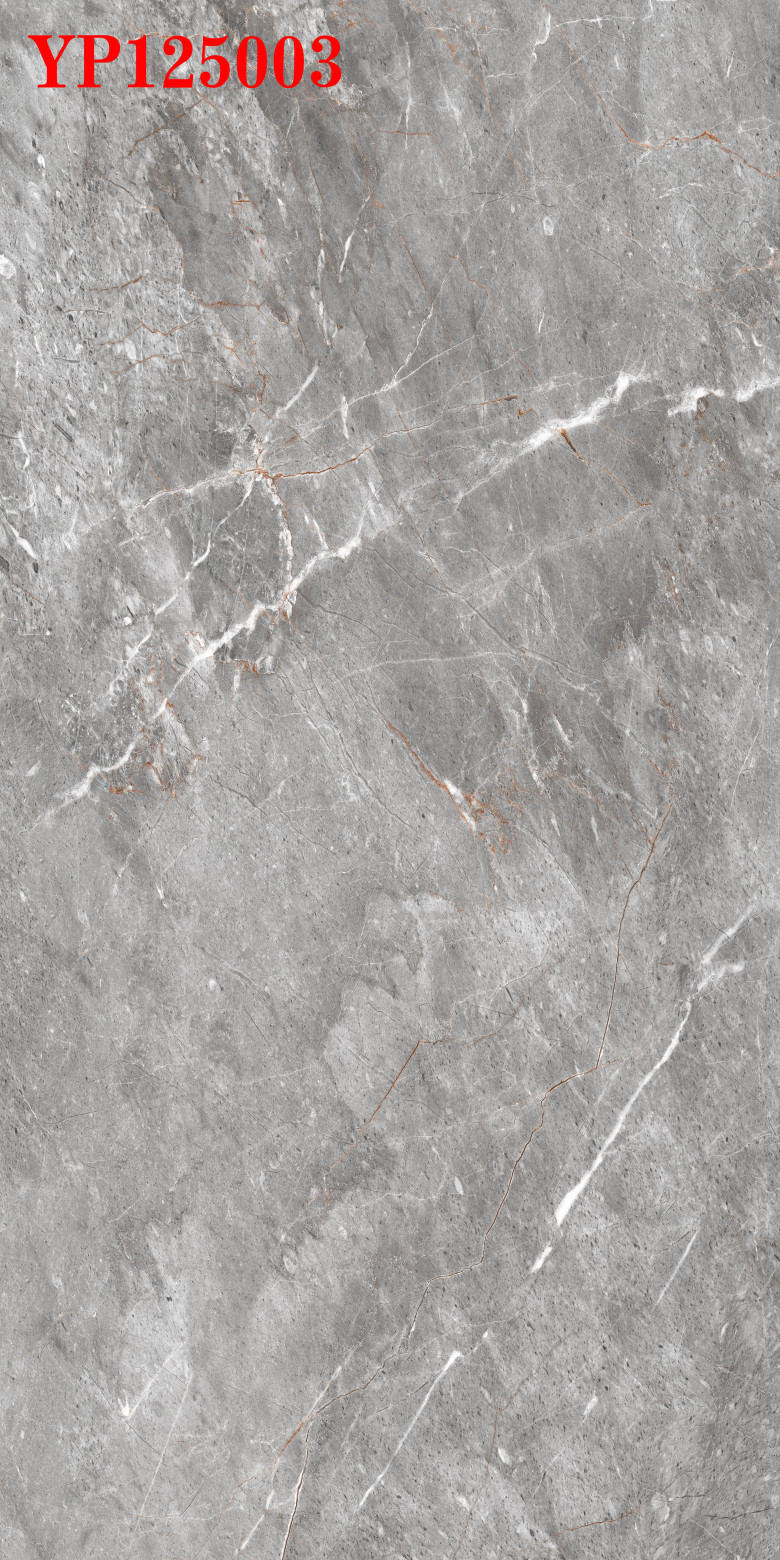 YP125003.jpg
