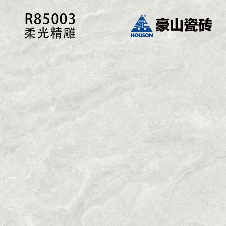 R85003.jpg