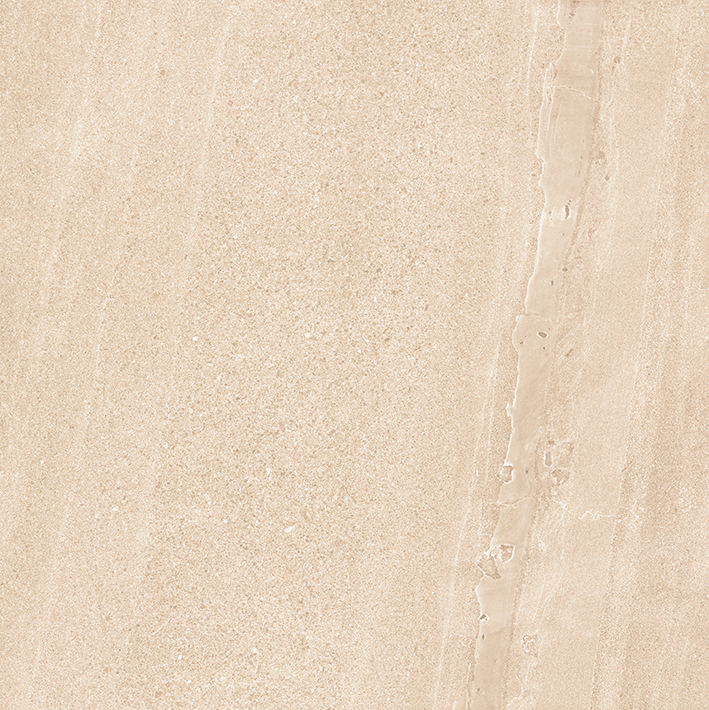 2-F6005-7.jpg