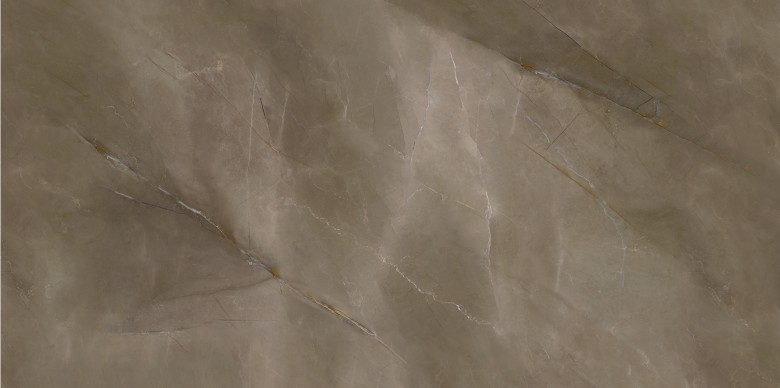 DT918601-2.jpg