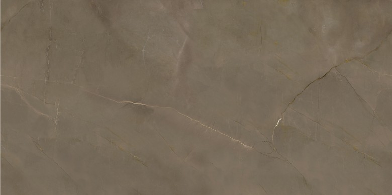 DT918601-3.jpg