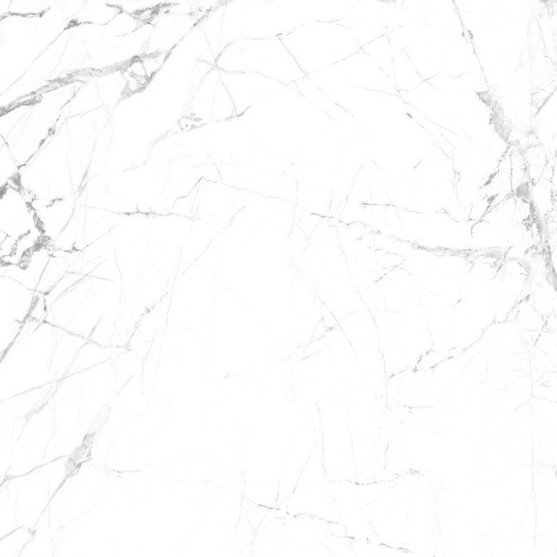 9DT071R-1  寒江雪.jpg