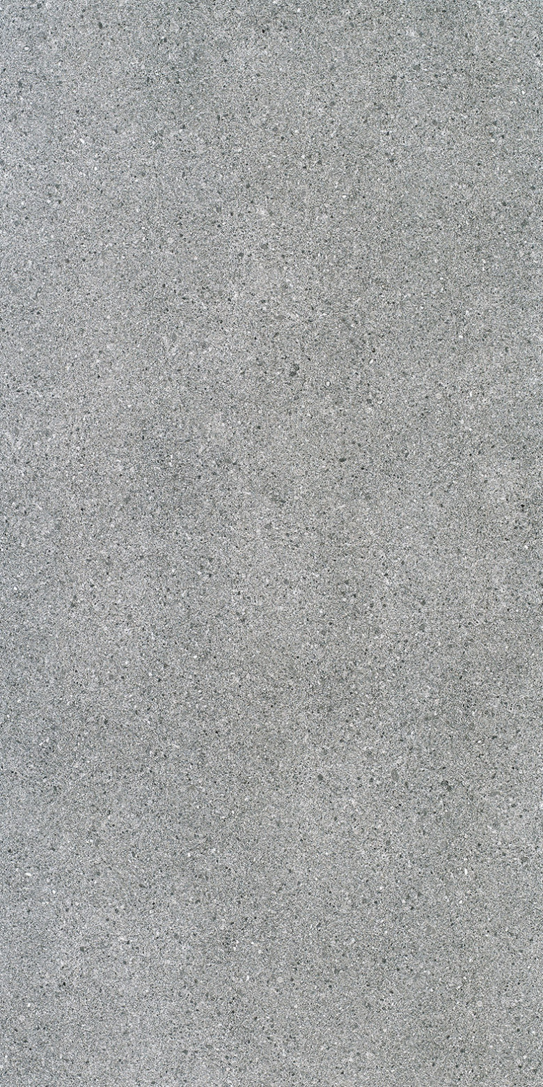 T12082.jpg