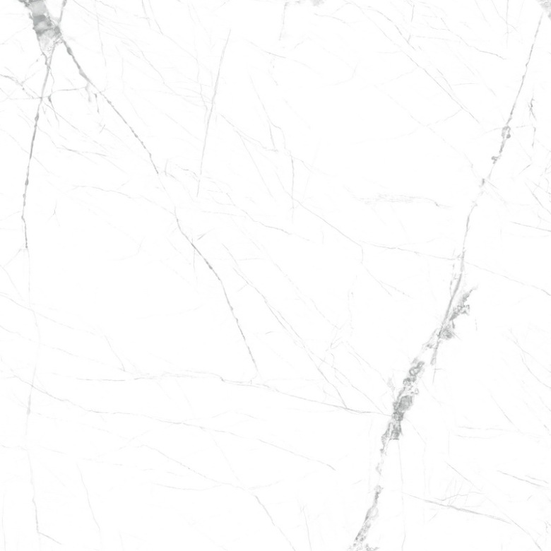 9DT071R-5  寒江雪.jpg