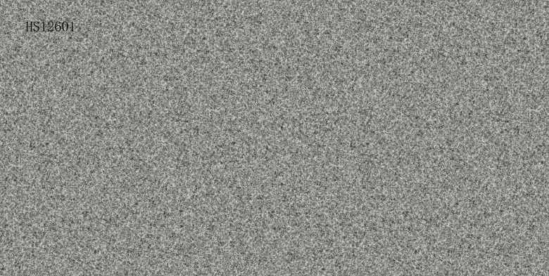 HS12601.jpg