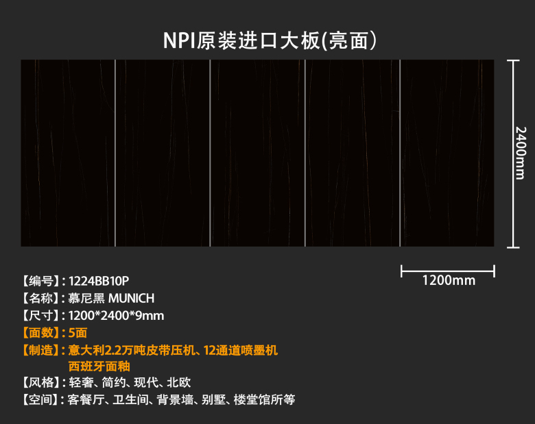 BB10P单面宣传.jpg