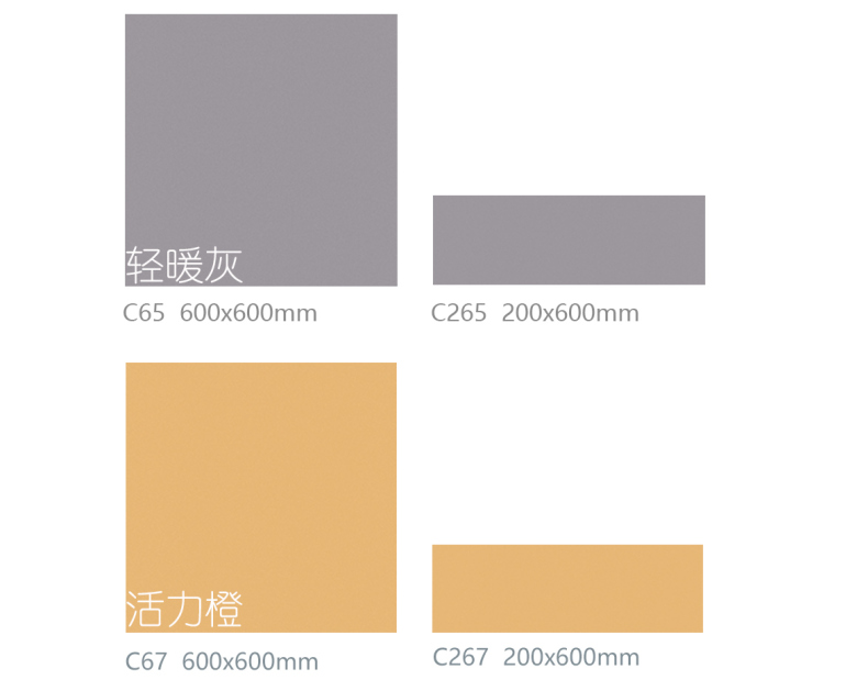 C65+C265_02.jpg