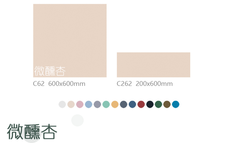 C62+C262_02.jpg