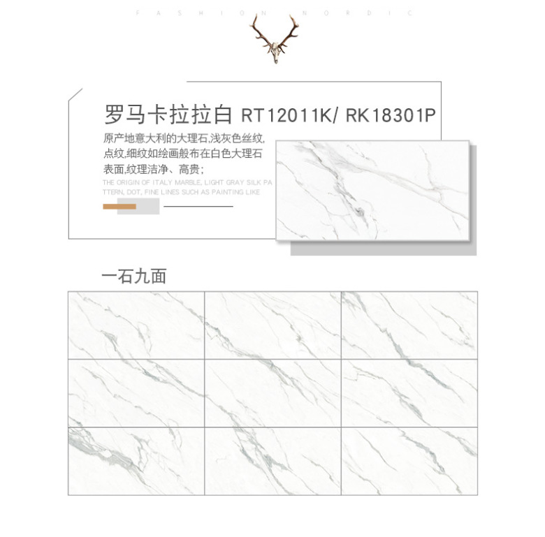 RT12011K_05.jpg