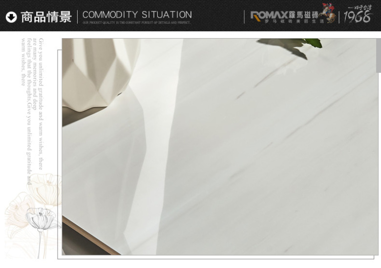 罗马凯撒白RT12021K_11.jpg