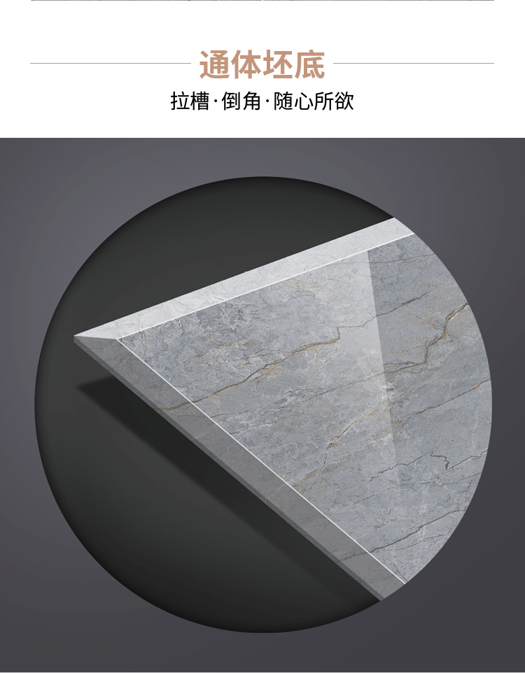 SH8003-(2)_05.jpg