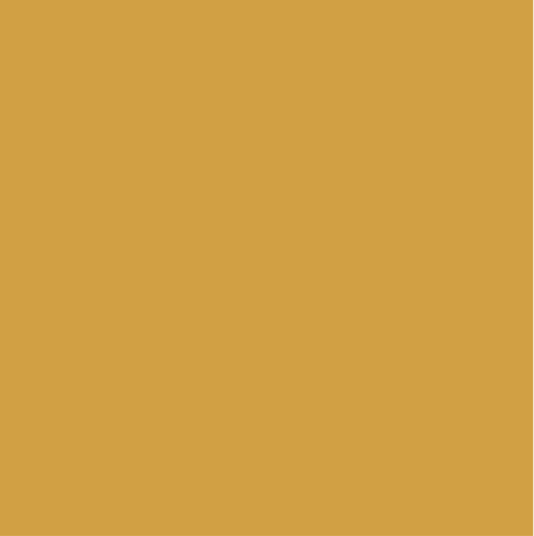 DS96002CP.png