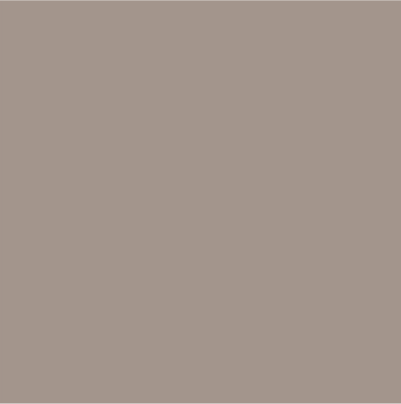 DS96009CP.png