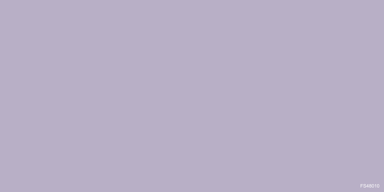 FS4810MS.png