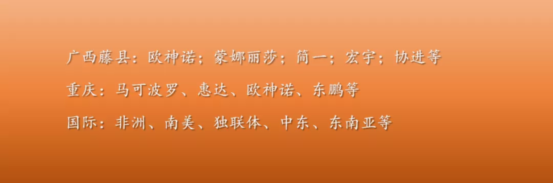 尹虹：瓷砖区域经销代理商，不可能被替代