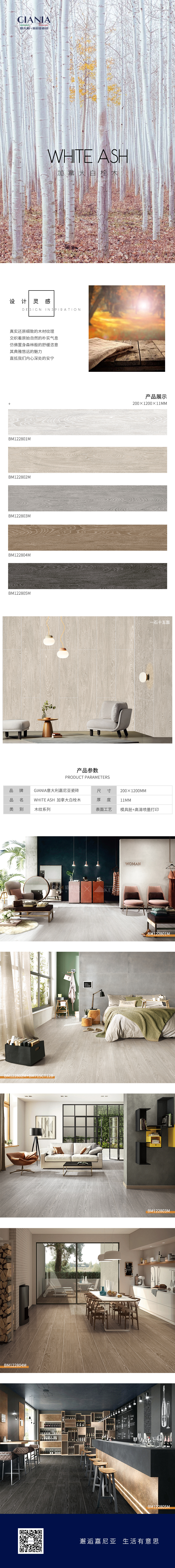 加拿大白栓木.jpg