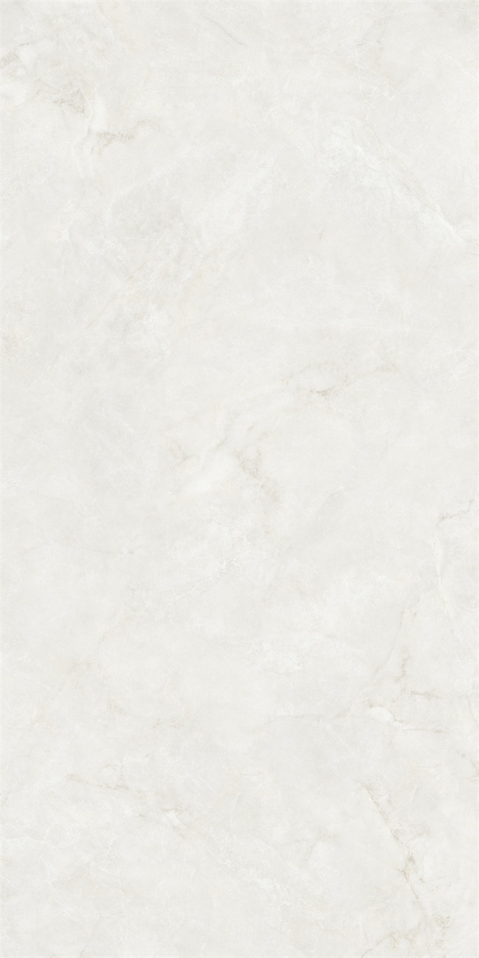 AC816121L-5.jpg
